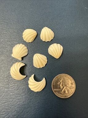 Vintage Scalloped Seashell Loose Beads Bundle